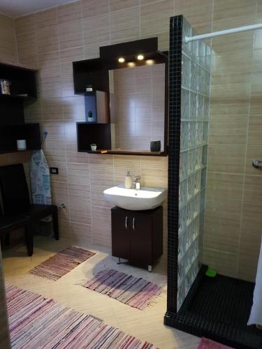 a bathroom with a sink and a mirror at Cabana Alexandra in Moisei