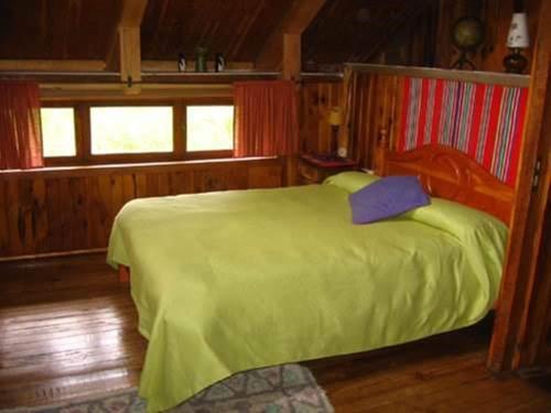 ein Schlafzimmer mit einem grünen Bett und einem lila Kissen in der Unterkunft La Polcura Lodge Turismo -Fishing Lodge & Spa in El Llano