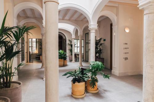 a hallway with potted plants in a building at Plácido y Grata in Seville