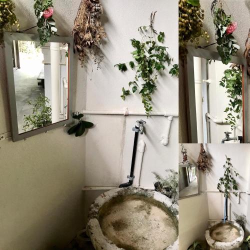 a bathroom with a toilet with plants on the wall at Travelers House おーさんてぃん青空舎 in Taketomi
