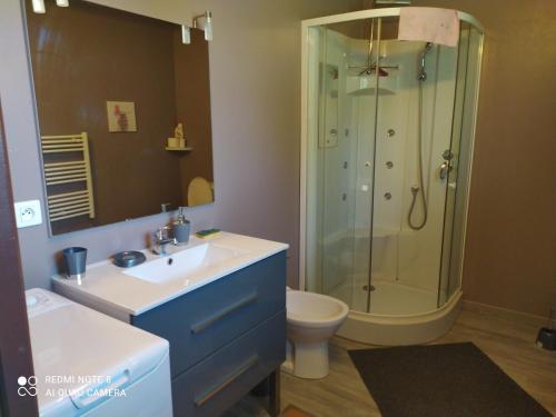 W łazience znajduje się prysznic, umywalka i toaleta. w obiekcie Appartement Saint Bauzély w mieście Saint-Bauzély
