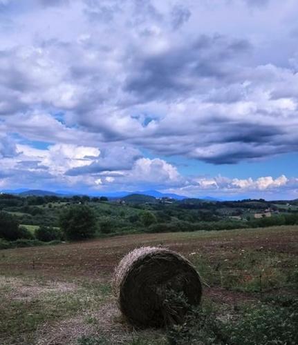 a bale of hay in a field under a cloudy sky at B&B and Wellness Il Pomario di Montepiglio Resort Naturista in Amelia