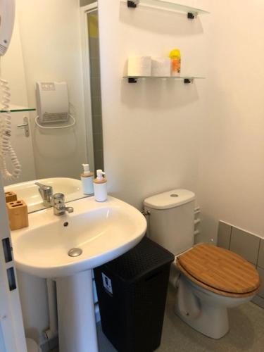une salle de bain avec un lavabo et des toilettes dans l'établissement Le Studio Saint Martin - Piscine & Spa - Aéroport, à Toulouse