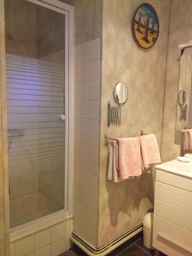 Ein Badezimmer in der Unterkunft Meublé Fournier tout confort avec Wifi
