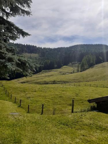 a fence in the middle of a grassy field at Reitbergs Nest in Eugendorf