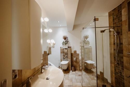 een badkamer met een wastafel, een toilet en een douche bij Ferienwohnung Wasserturm Thale in Thale
