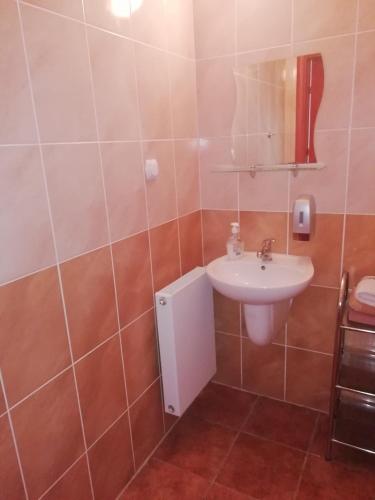 a bathroom with a sink and a mirror at Hotel Fregata in Pęczniew