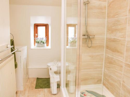a bathroom with a glass shower with a toilet at Linley Lane Cottage in Bishops Castle