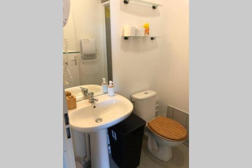 a bathroom with a sink and a toilet at Le Fitness & Business Studio - Airbus -Piscine Spa in Toulouse