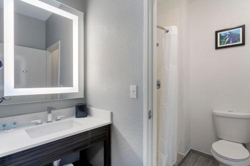 a bathroom with a sink and a toilet and a mirror at Comfort Inn & Suites Memphis East in Memphis