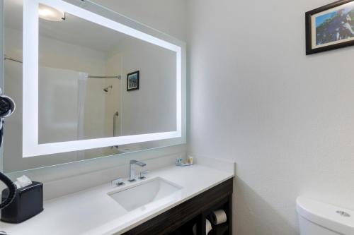 a bathroom with a sink and a large mirror at Comfort Inn & Suites Memphis East in Memphis