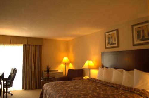 Postel nebo postele na pokoji v ubytování Rodeway Inn & Suites Bradley Airport