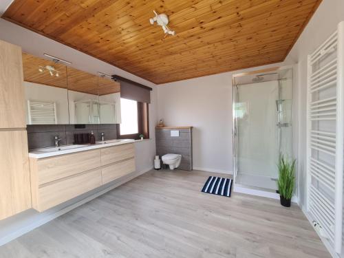 uma casa de banho com um chuveiro, um lavatório e um espelho. em Tussenbeke em Lede