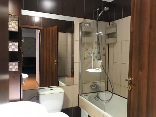 a bathroom with a toilet and a shower and a sink at Comfortable Apartment in Cartier Evocasa Orizont Ploiesti (North) in Ploieşti