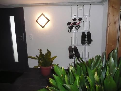 a group of shoes hanging on a wall next to a plant at Haus Rosi in Uttendorf