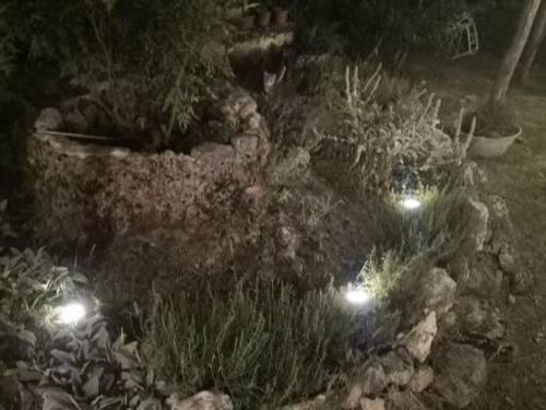a garden with plants and lights at night at La Mandra in Morino