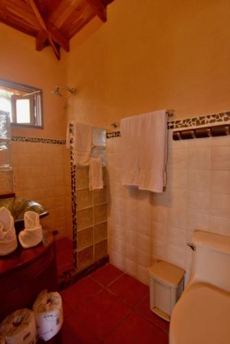 a bathroom with a shower and a toilet at Pie in the Sky 1 Gorgeous Cottage with spectacular scenic views in El Fosforo