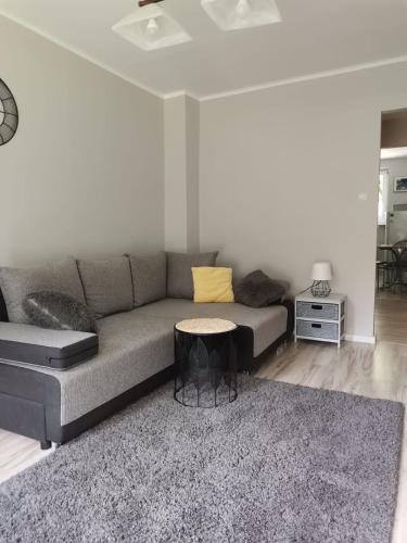 a living room with a couch and a table at Apartament Pionierska in Ustrzyki Dolne