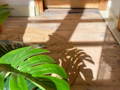 a shadow of a plant on a porch at Ferienwohnung Ava - Heiligkreuztal in Heiligkreuztal
