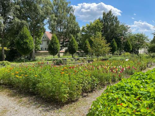 a garden with flowers and a house in the background at Ferienwohnung Ava - Heiligkreuztal in Heiligkreuztal
