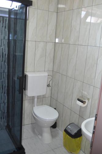 a bathroom with a toilet and a shower and a sink at Casa Mular in Kruševo