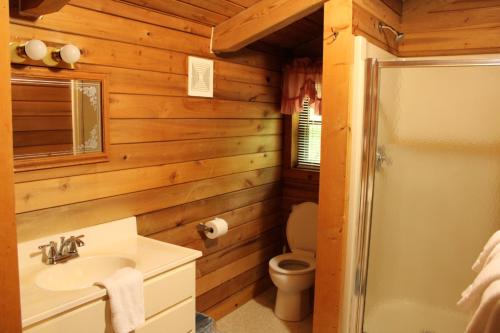 a bathroom with a toilet and a sink at Country Road Cabins in Hico