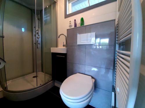 La salle de bains est pourvue de toilettes, d'une douche et d'un lavabo. dans l'établissement Tuinhuis Duinroos Deluxe, à Callantsoog