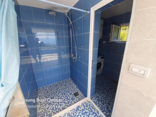 a bathroom with a shower with blue tiles at Apartmani Nevena in Herceg-Novi