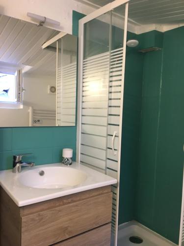 une salle de bain avec un lavabo et une douche dans l'établissement La vue du palais, à Avignon