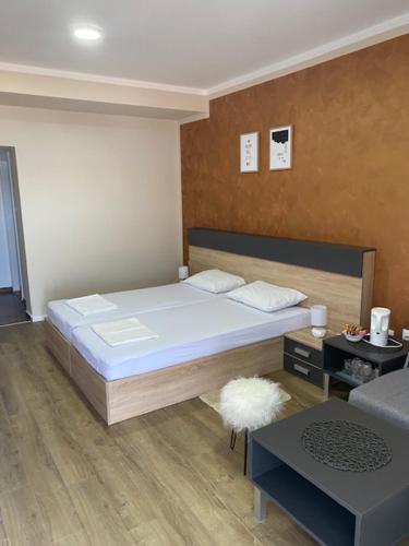 Gallery image of Danubiana Apartments 7-8 in Kladovo