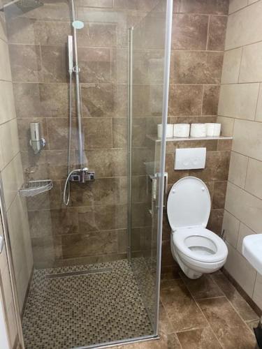 La salle de bains est pourvue de toilettes et d'une douche en verre. dans l'établissement Danubiana Apartments 7-8, à Kladovo