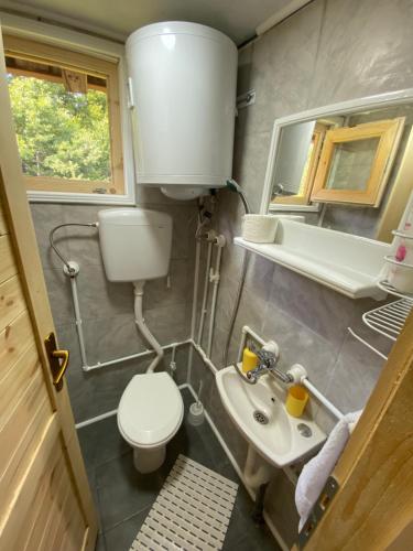 ein kleines Bad mit WC und Waschbecken in der Unterkunft Turizam Raković in Ivanjica