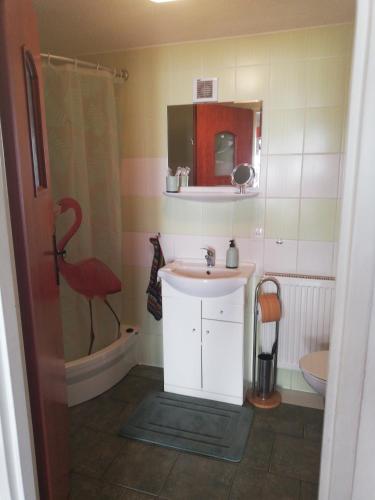 a small bathroom with a sink and a shower at Bella Patria in Rozwadza