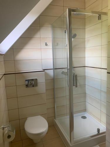 a bathroom with a toilet and a glass shower at Apartament Biały in Krynica Morska