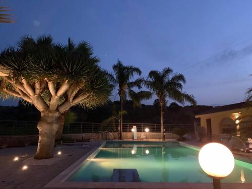 - une piscine avec un palmier la nuit dans l'établissement Villa Terre di Charme, à Balestrate