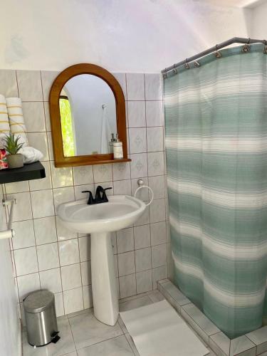 a bathroom with a sink and a shower at El Castillo Tropical in Cabrera