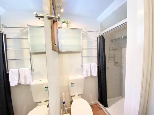 a bathroom with a toilet and a shower at High Bernation Haus in Dinner Plain