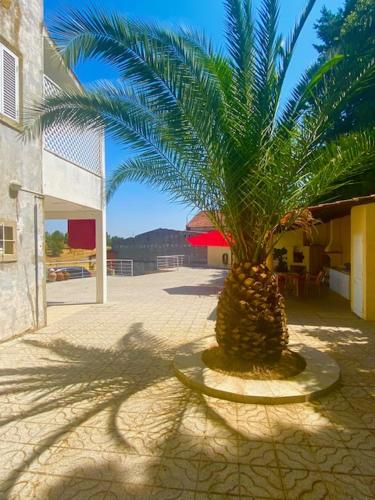 Φωτογραφία από το άλμπουμ του 1955 Guest House σε Cebolais de Cima