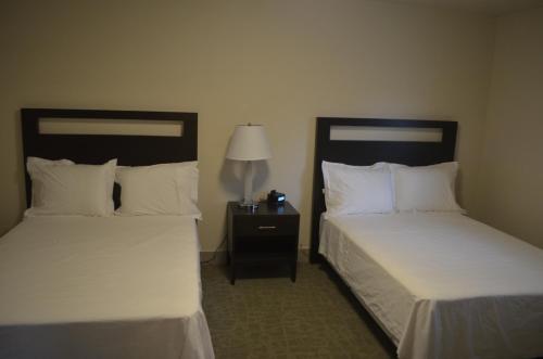 2 Betten nebeneinander in einem Zimmer in der Unterkunft Basalt Mountain Inn in Basalt
