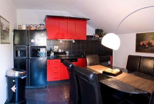 Кухня или мини-кухня в Apartments Villa Kukoljac
