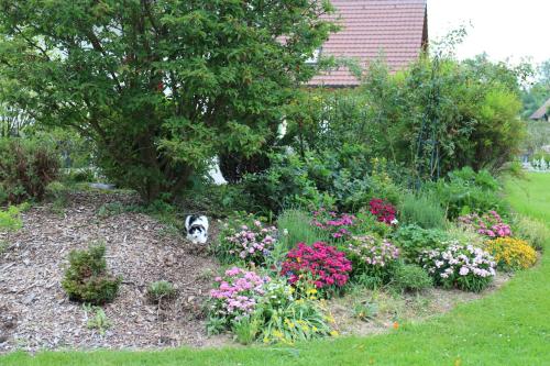 a dog sitting in a garden with flowers at Les Petites Chambres de la Bleue Maison in Coeuve
