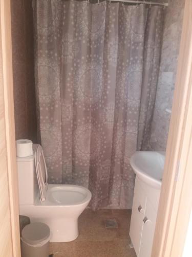 La salle de bains est pourvue de toilettes et d'un lavabo. dans l'établissement Nereids Apartments-Erato, à Petalidhion