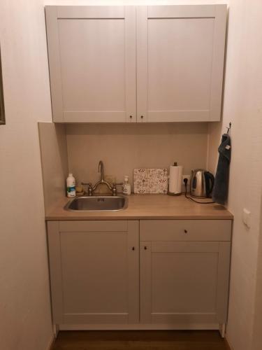 Kuchyň nebo kuchyňský kout v ubytování DABA Mini Hotel
