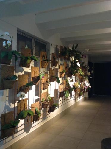 a room with many plants on the wall at Mara Turismo Hotel in Catalão