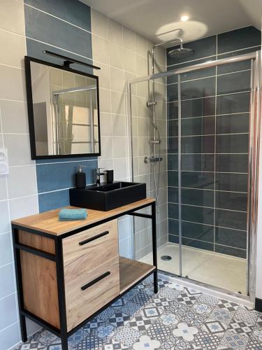 a bathroom with a sink and a glass shower at Gîte au pied du château de Chaumont-Sur-Loire, Chambord et Amboise in Onzain