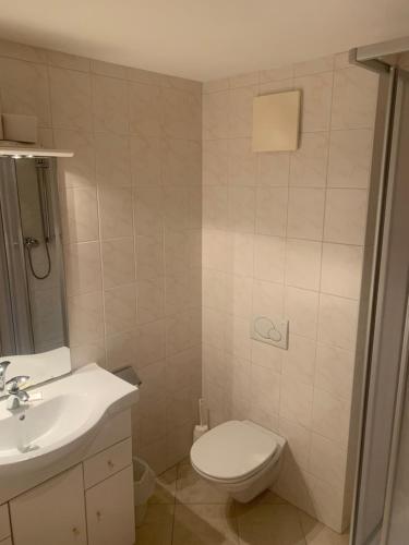 a bathroom with a toilet and a sink at Ferienhotel Alpenhof in Aurach bei Kitzbuhel