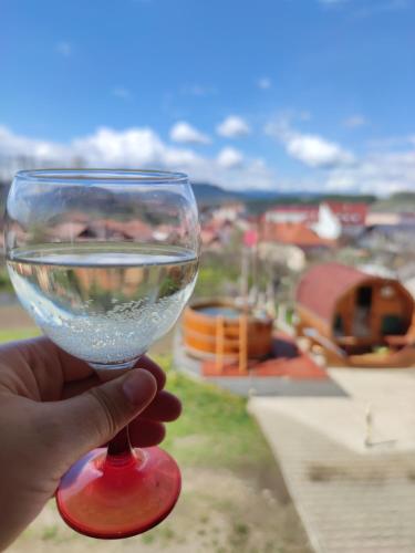 a hand holding a wine glass with water in it at Casa Daya in Topliţa