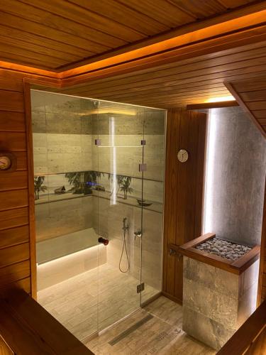 La salle de bains est pourvue d'une douche avec une porte en verre. dans l'établissement LOFT studii, à Adler