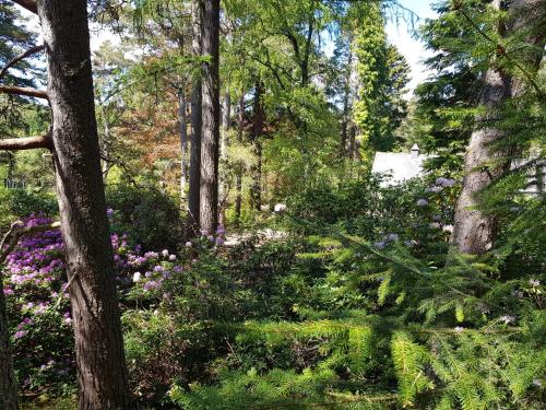 a garden with flowers and trees in a forest at Cambus O' May Traditional Highland Hotel in Ballater