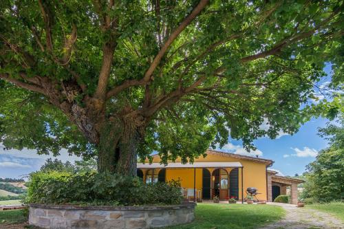 a large tree in front of a yellow house at Villa Design in Pergola